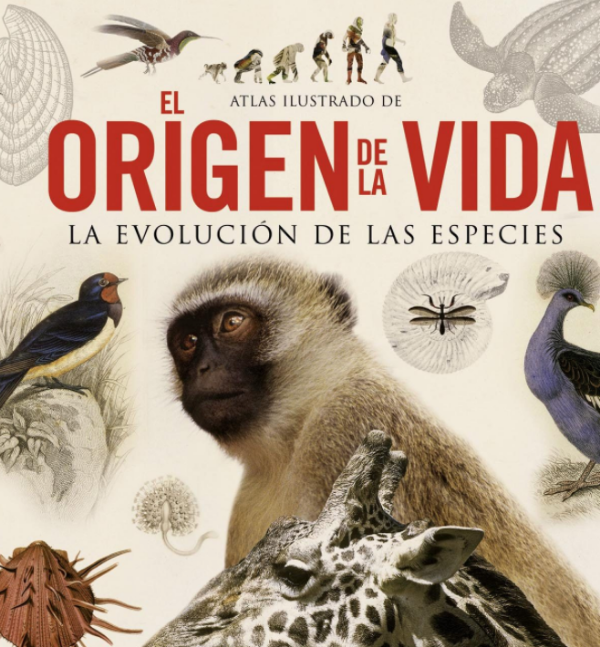 El origen de la vida. La evolución de las especies