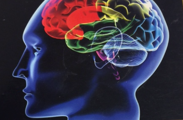 Gestión del conocimiento